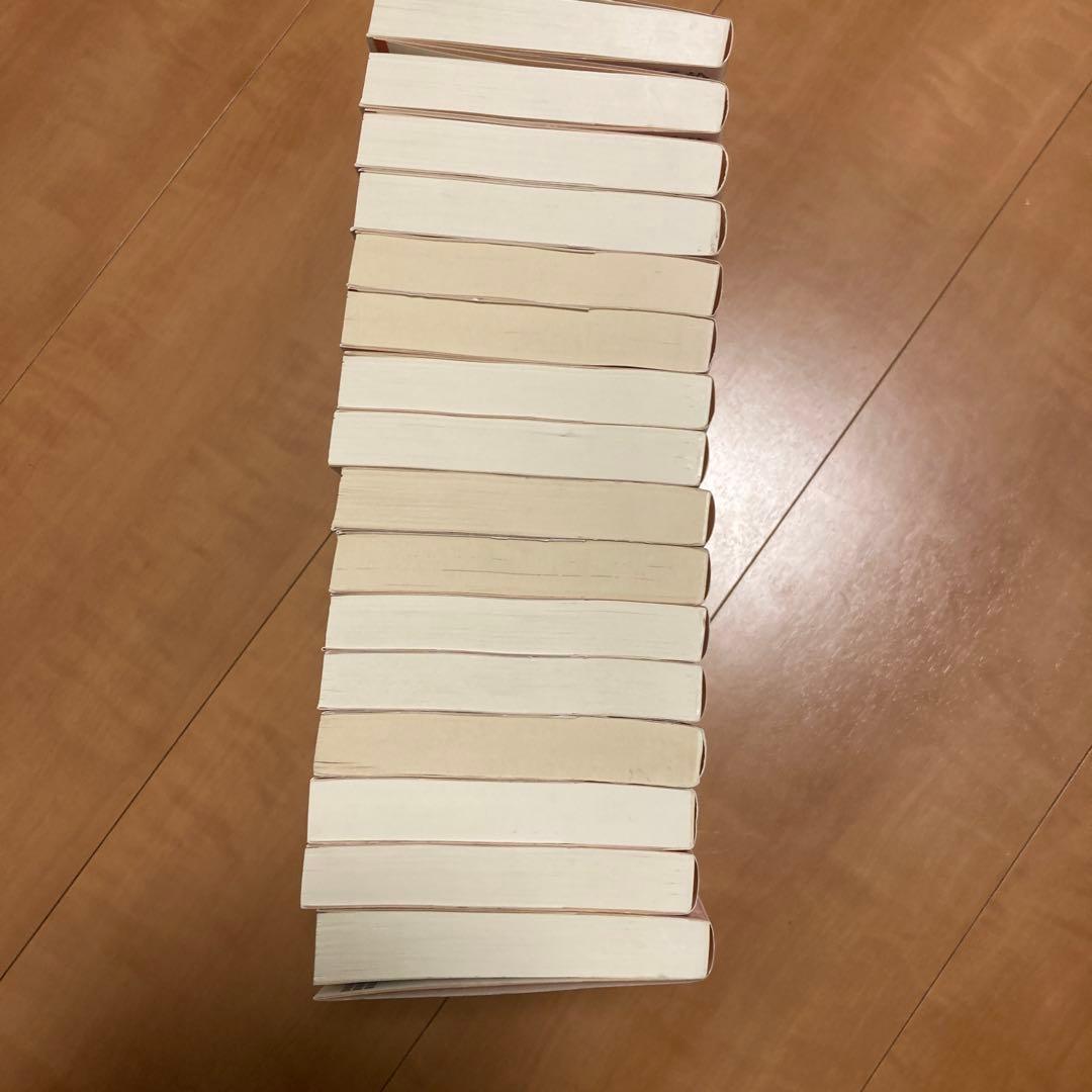天は赤い河のほとり 文庫版 全巻セット