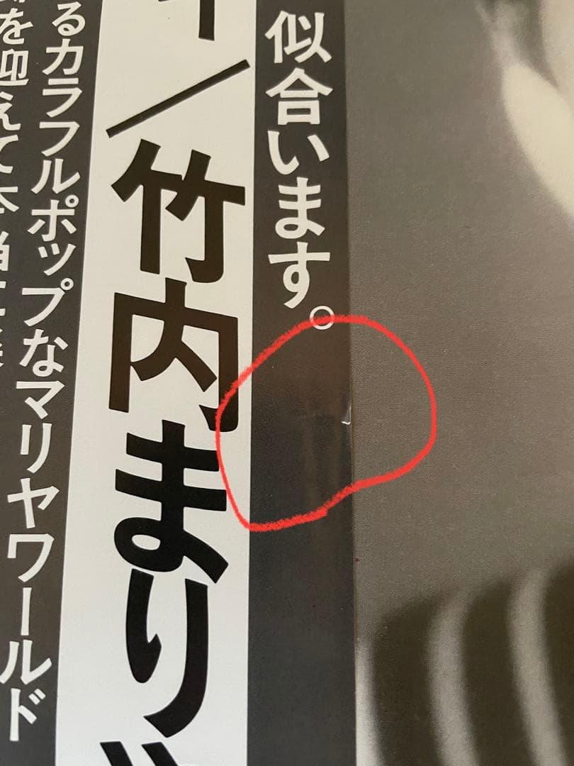 竹内まりや ヴァラエティ MOON 28018 LP レコード