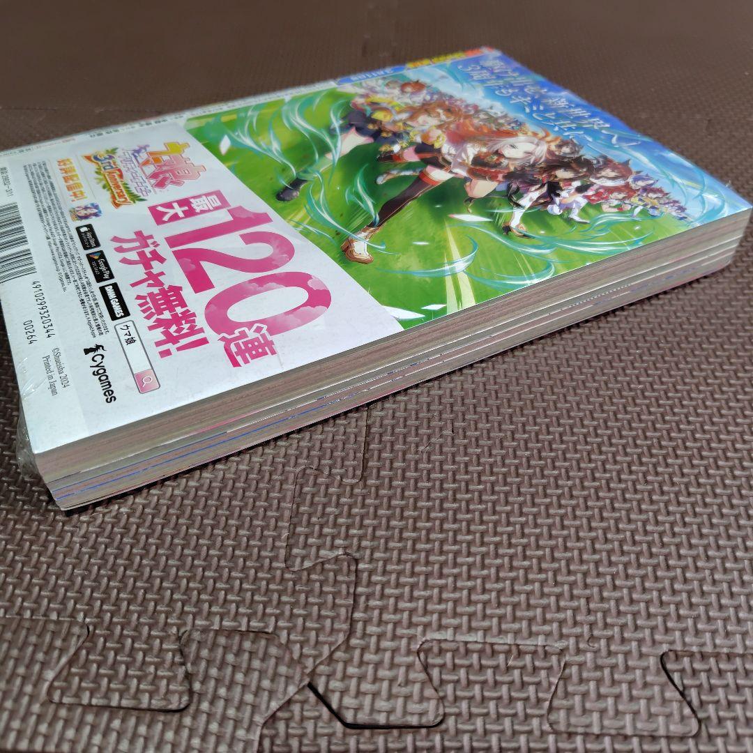 新品未読 週刊少年ジャンプ 2024年13号 ワンピース ニカルフィ表紙