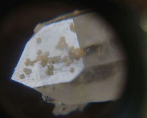 パナスケイラ鉱山水晶⑤　原石