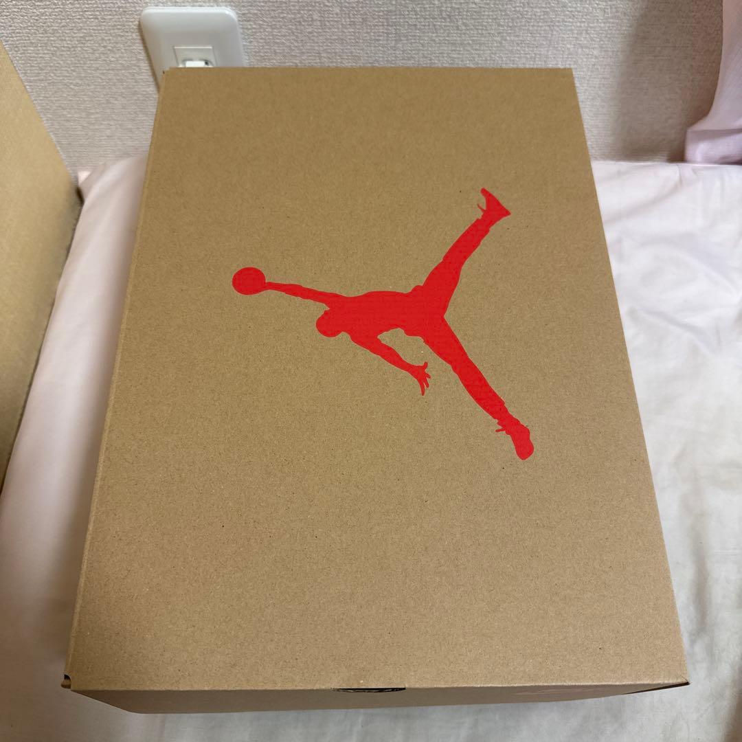 シューズ(男性用) 27cm NIKE AIR JORDAN 6 INFRARED SALESMAN