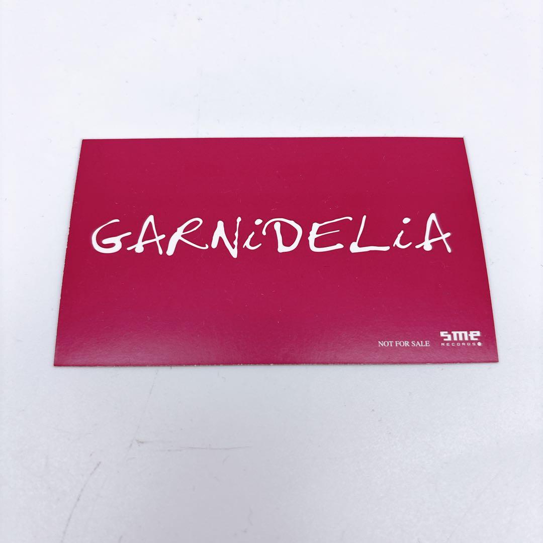 GARNiDELiA 約束 Promise code 初回生産限定版 DVD付き