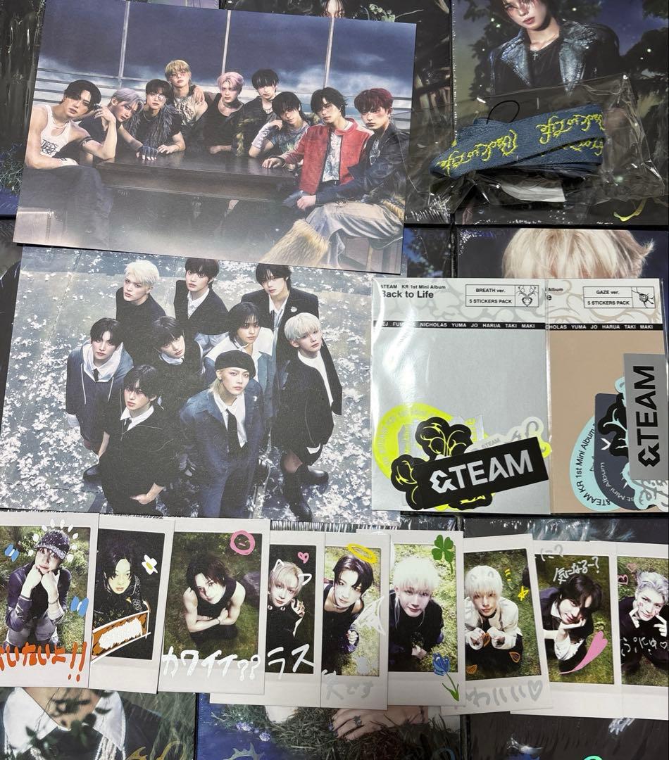 &TEAM Back to Life ROAR Ver. 9枚セット 未開封