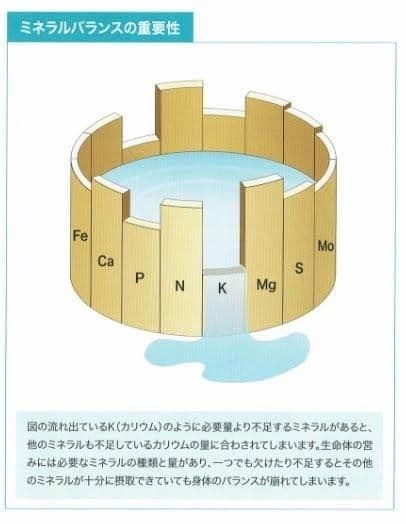 ♠ライフエッセンス600ml未開封新品クラブエコウォーター送料込みポタポタクラブ