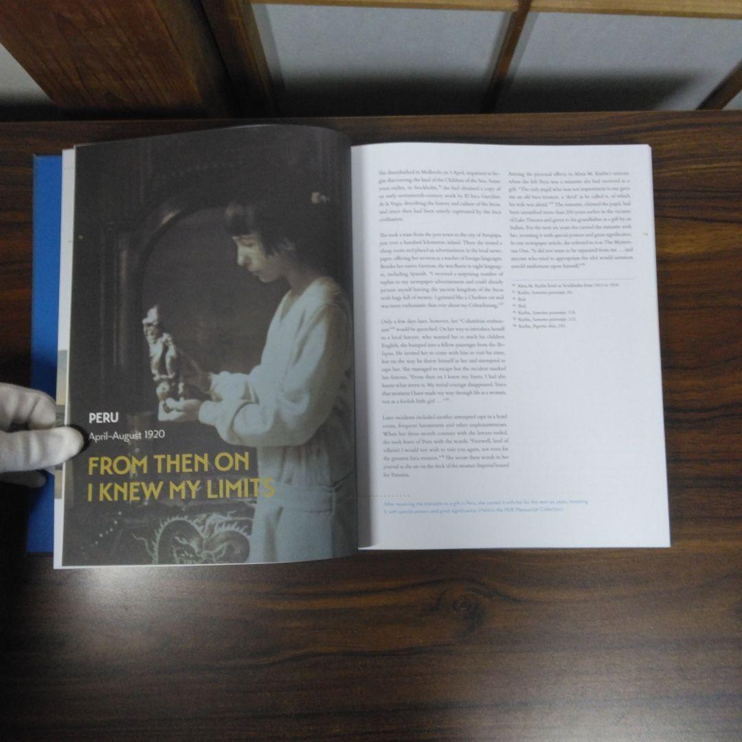 洋書 THE ENDLESS JOURNEY OF ALMA M. KARLIN