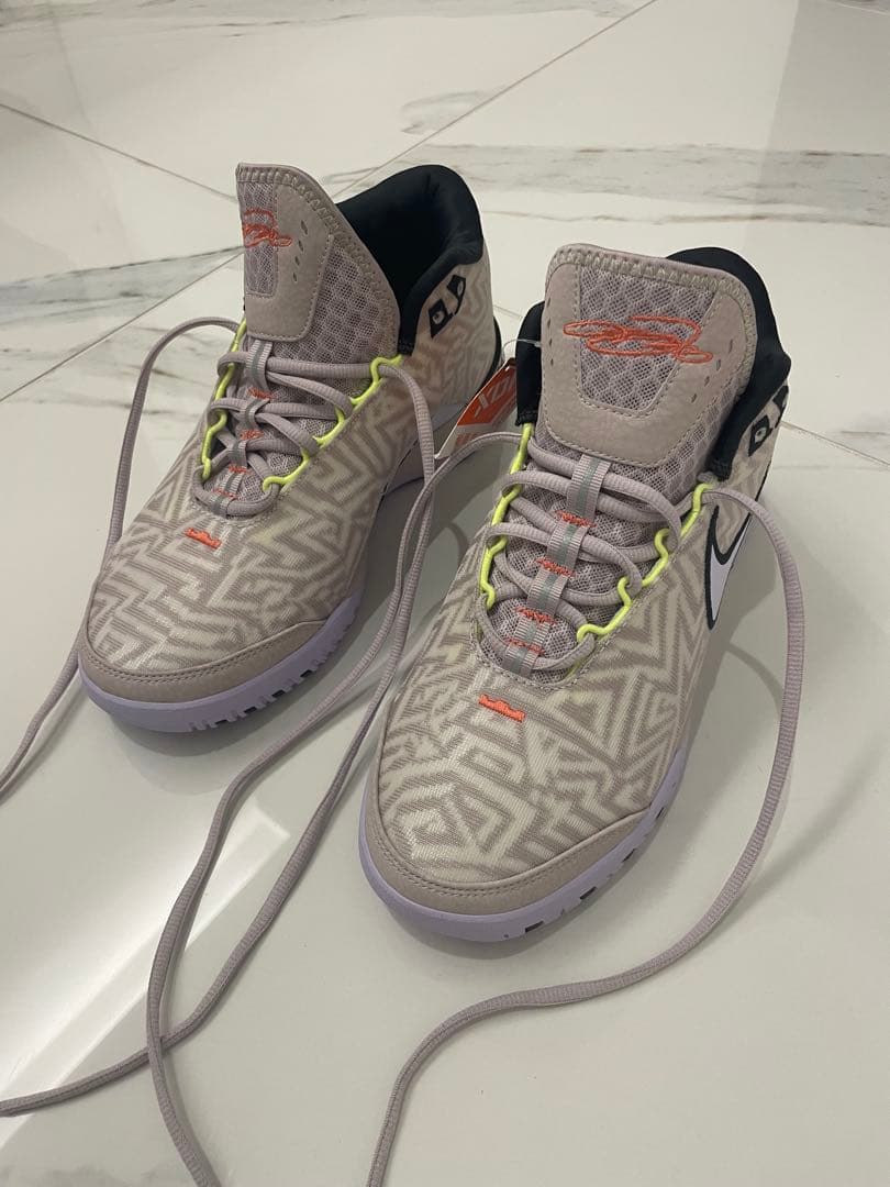 NIKE ナイキ　 レブロン NXXT ジーニサス　26.0