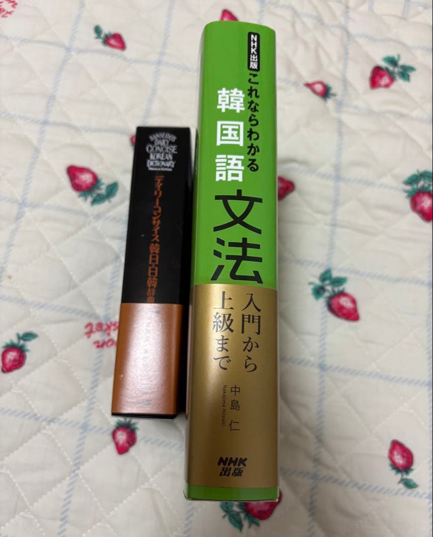 韓国語 文法書 辞書 セット
