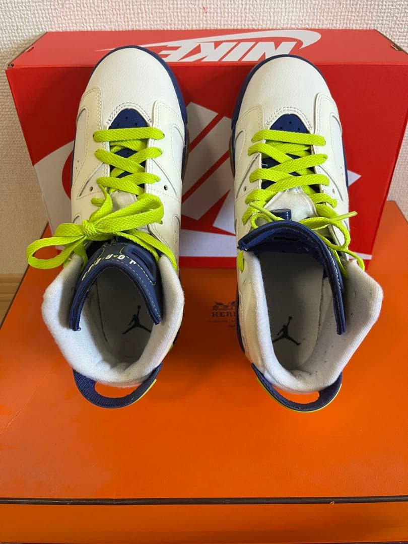 Jordan 6 US限定カラー 24cmニッキーミナージュ着用モデル