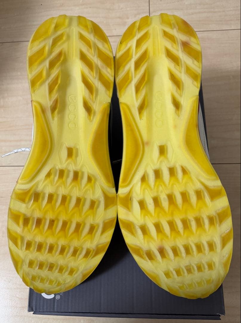 ECCO BIOM C4 ゴルフシューズ EU43