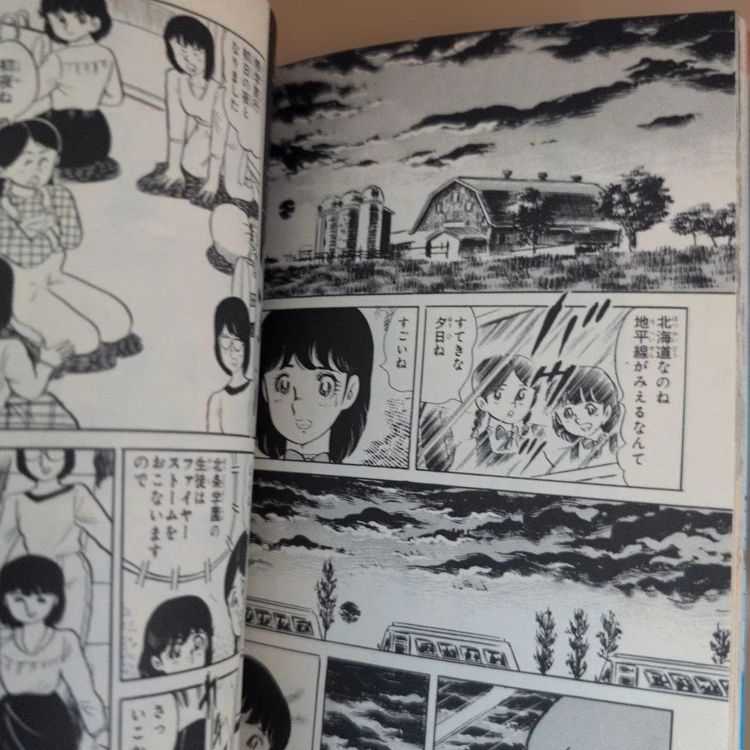 翔んだカップル