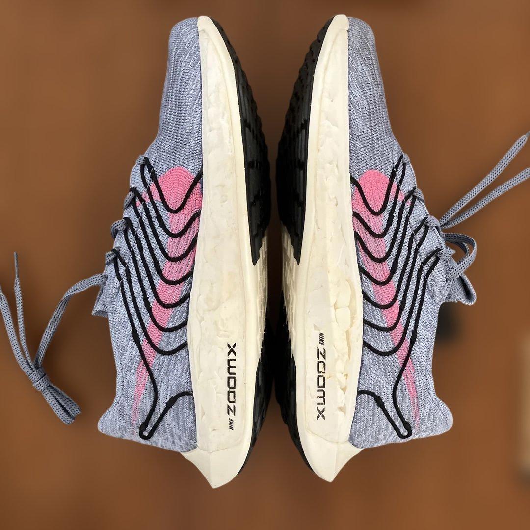 NIKE ペガサスターボネクストネイチャー
