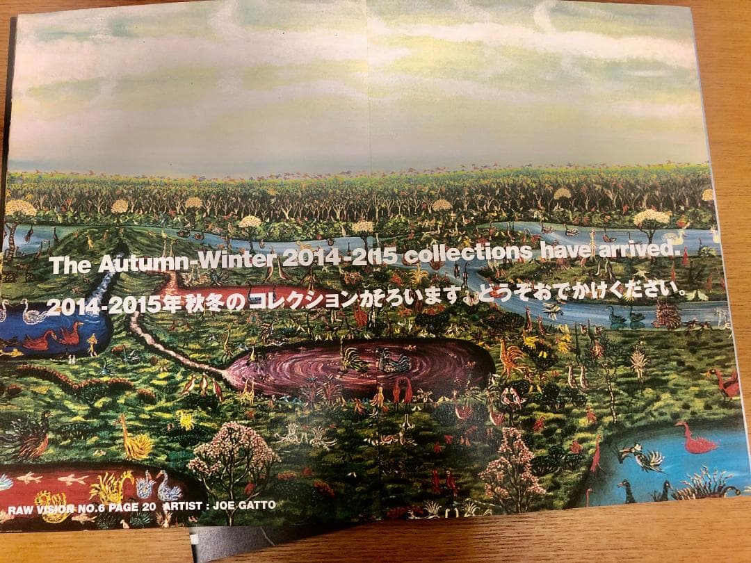 【RAW VISION（ロービジョン）】コムデギャルソン DM 6冊セット