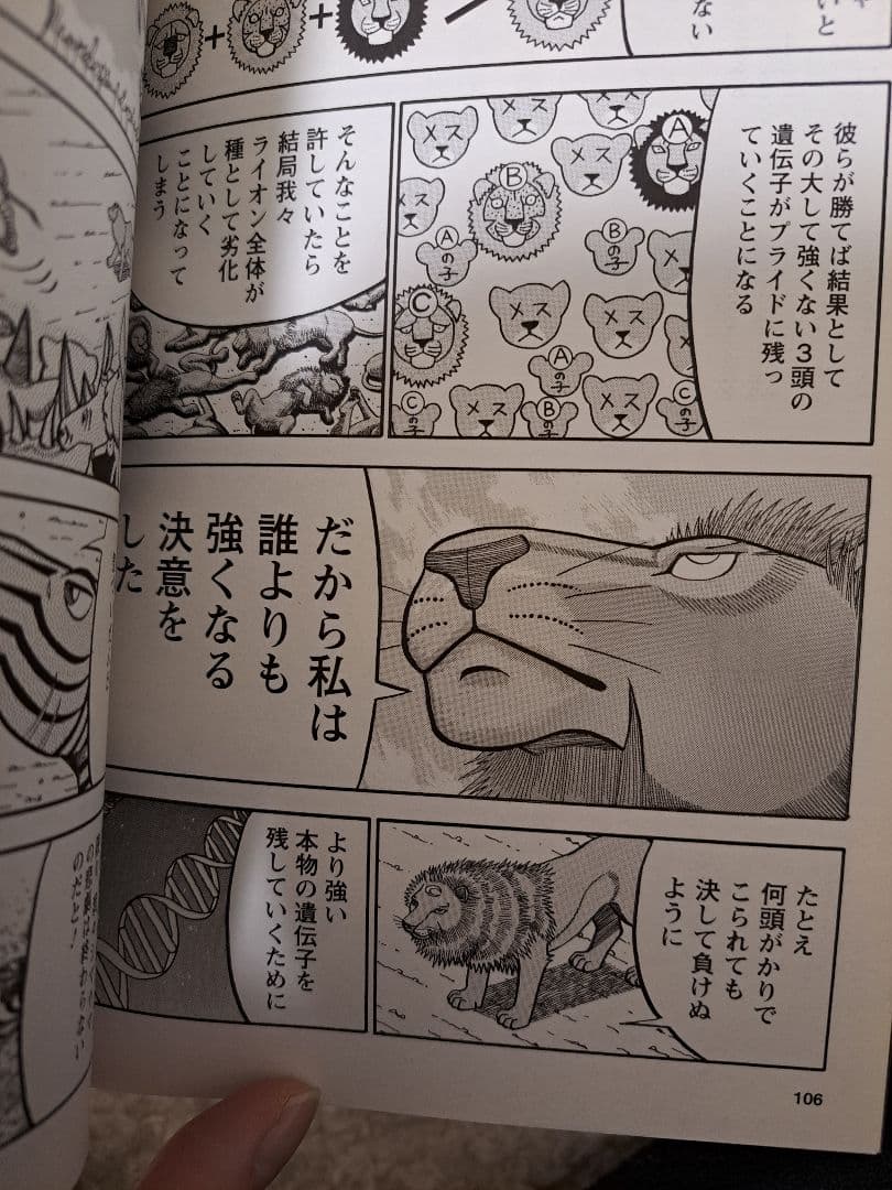 【超値下げ!】真・異種格闘大戦全10巻セット相原コージ　帯３本一部カードおまけ有