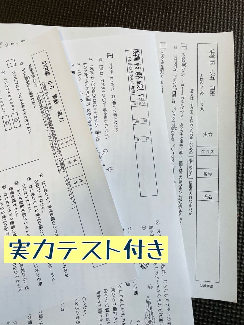 2年分 4科目 2023年、2024年度 浜学園 公開学力テスト 小5