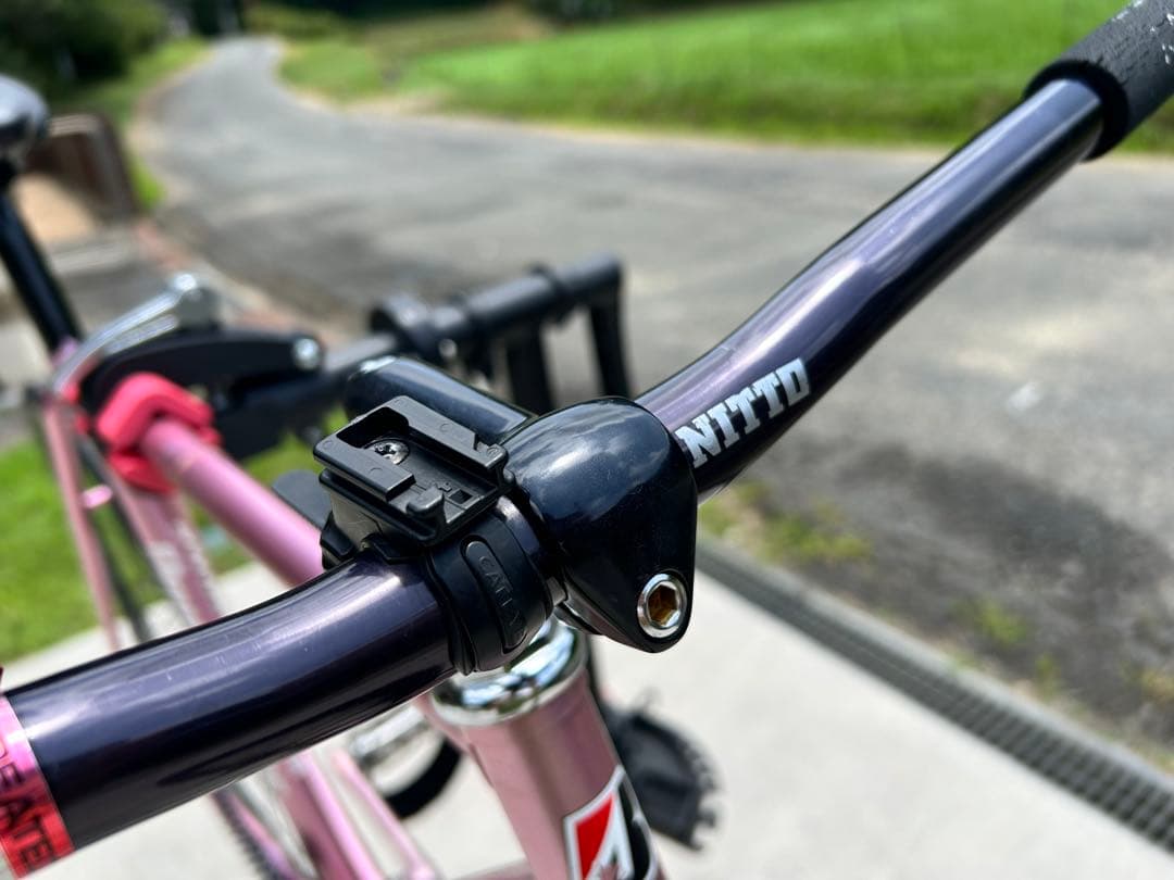 BRIDGESTONE NJS ピストバイク