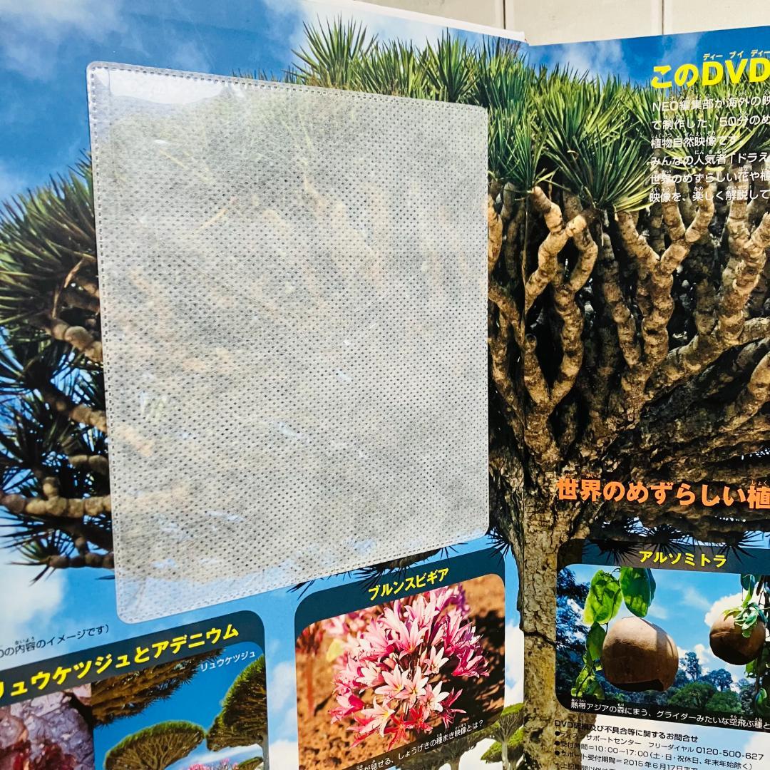 【定番の図鑑】小学館の図鑑NEO 10冊セット