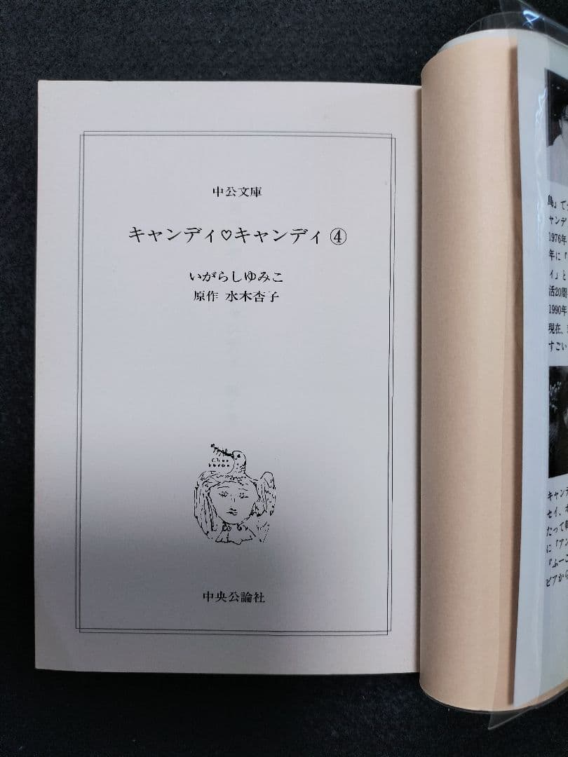 ■クリアブックカバー付き「キャンディ・キャンディ」文庫版●全巻セット