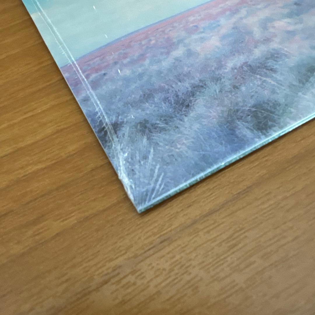 新品　Oasis オアシス　Whatever 30周年記念盤　RKID149C