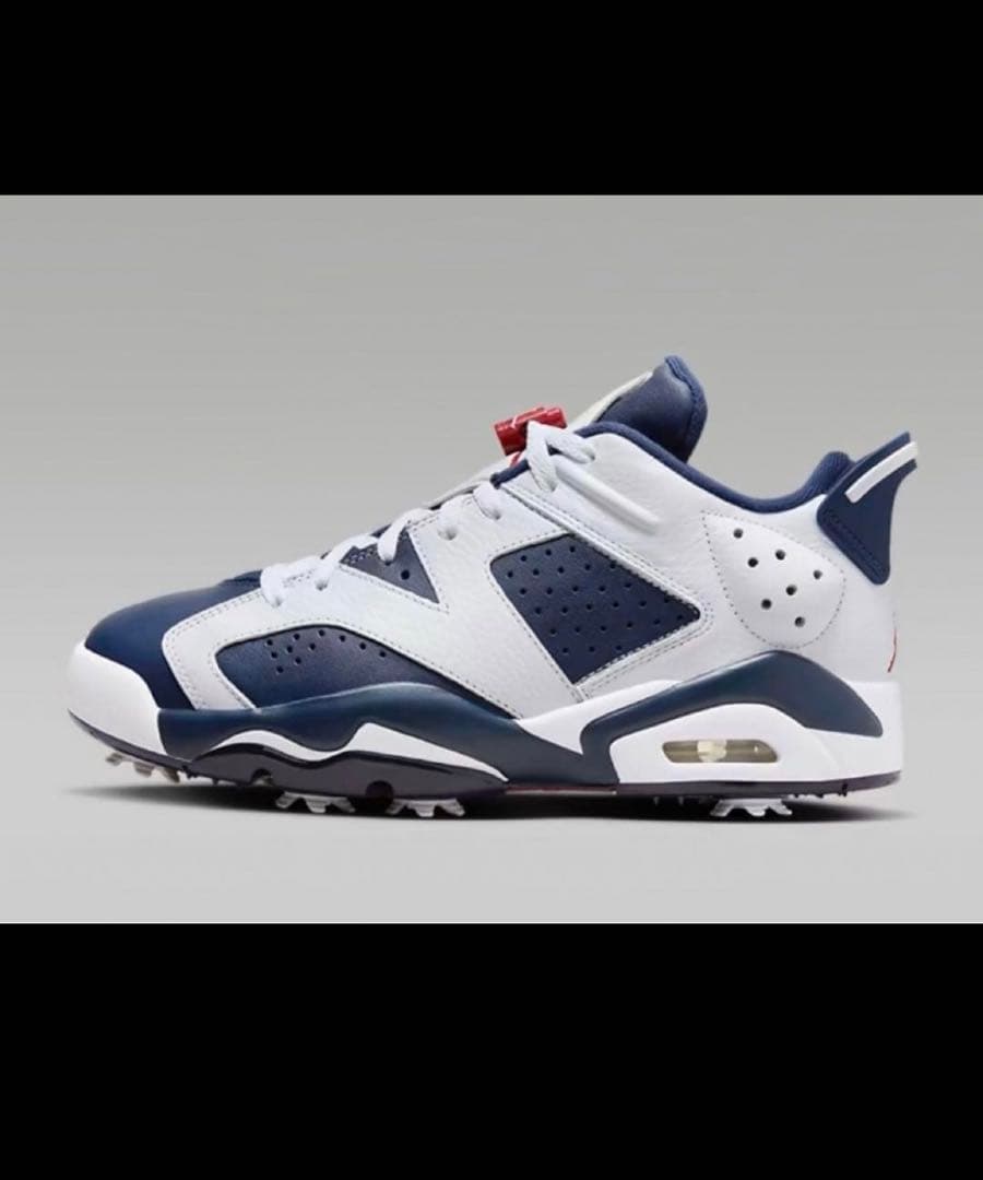 シューズ(男性用) JORDAN RETRO 6 GOLF