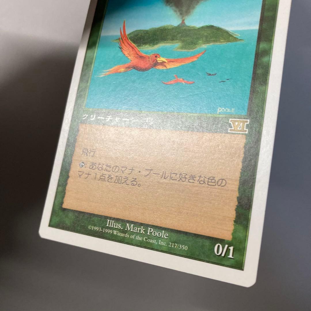 MTG 6版 極楽鳥 日本語 4枚セット
