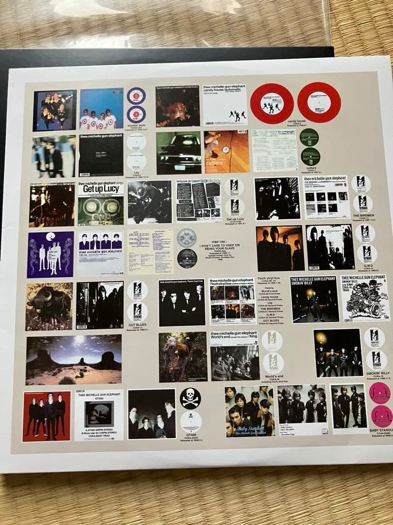 ミッシェルガンエレファント TMGE 106 アナログ レコード