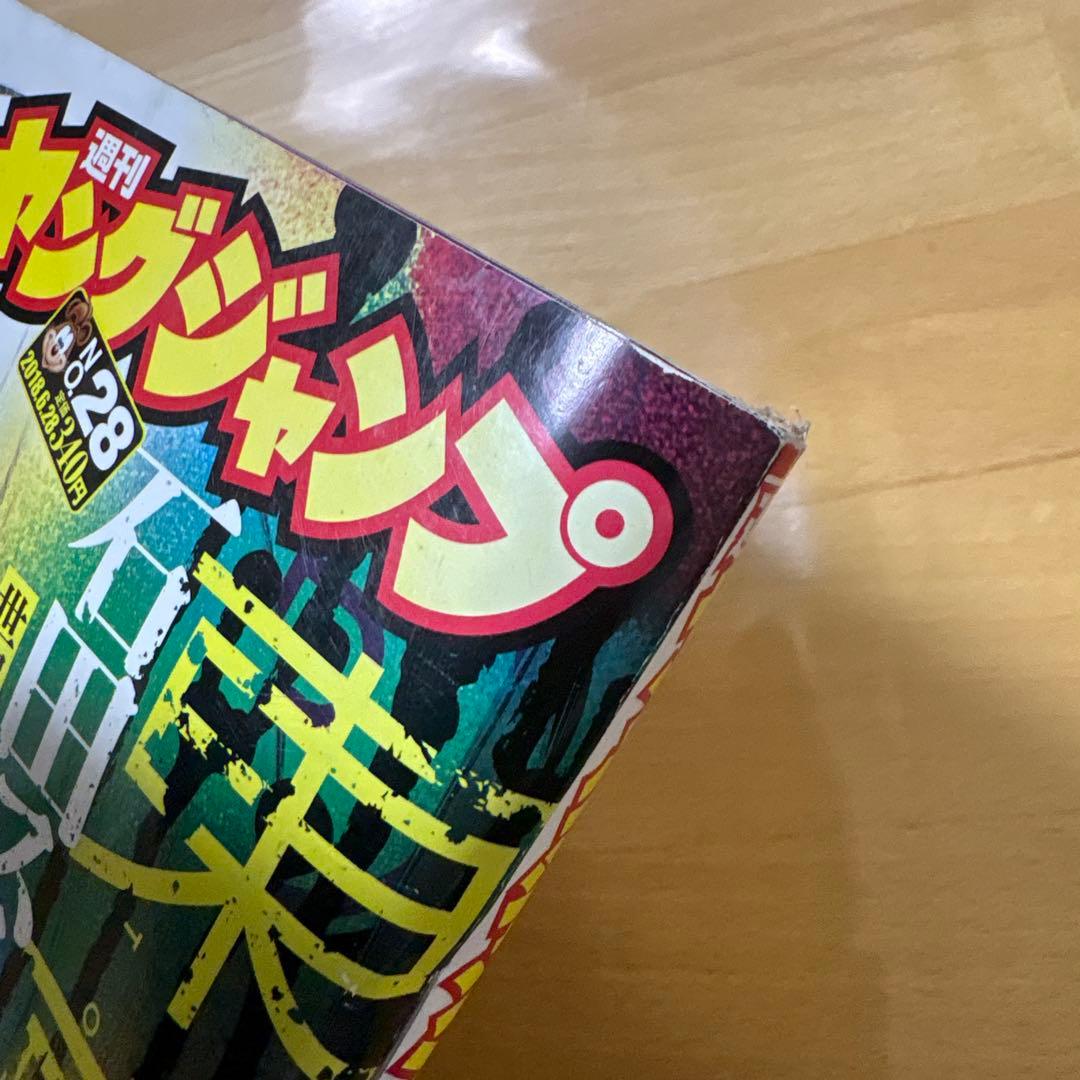週刊ヤングジャンプ　2018年　No.28号