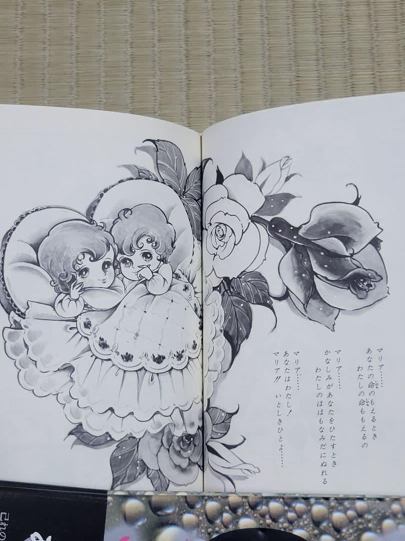 わたなべまさこ名作集 22世紀の子「リーベス・ツァイベン」 愛蔵版　帯付き