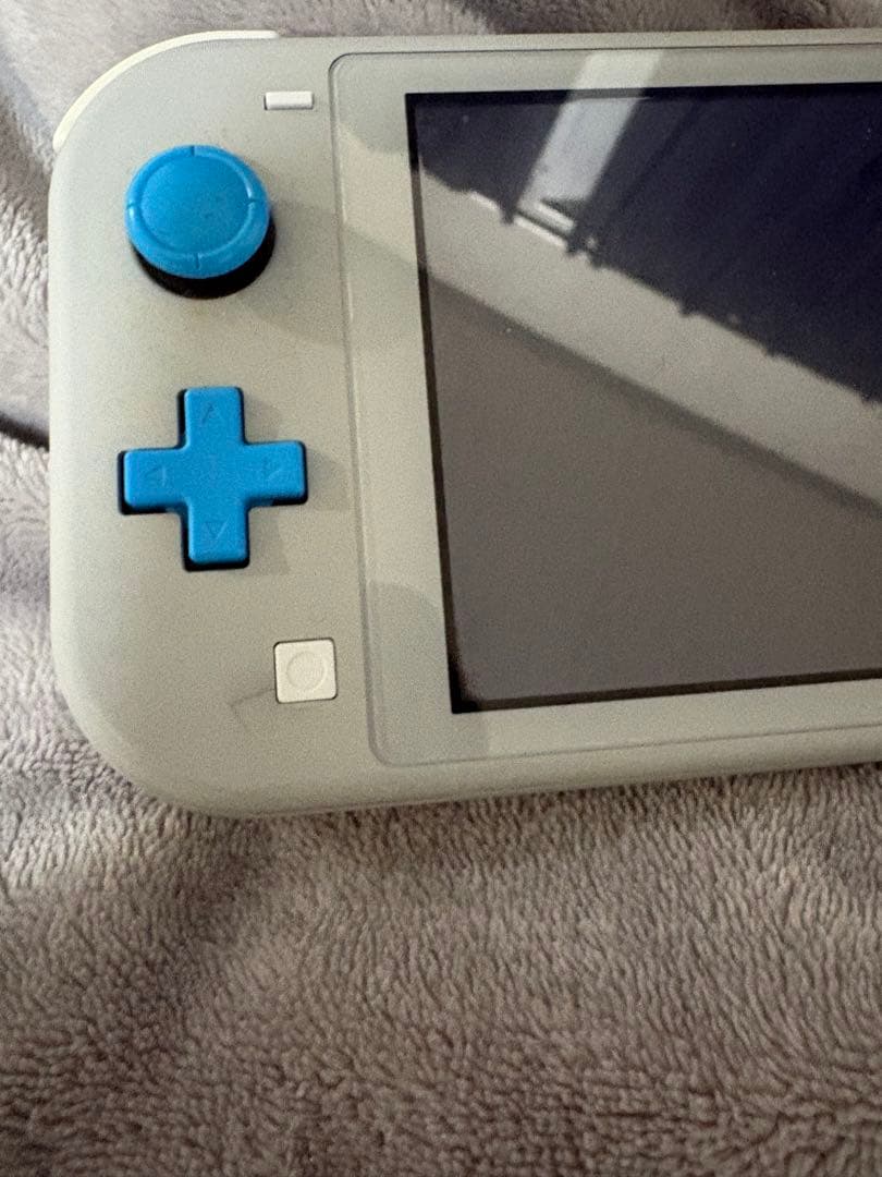 Nintendo Switch Lite ケース、SDカード256GB付