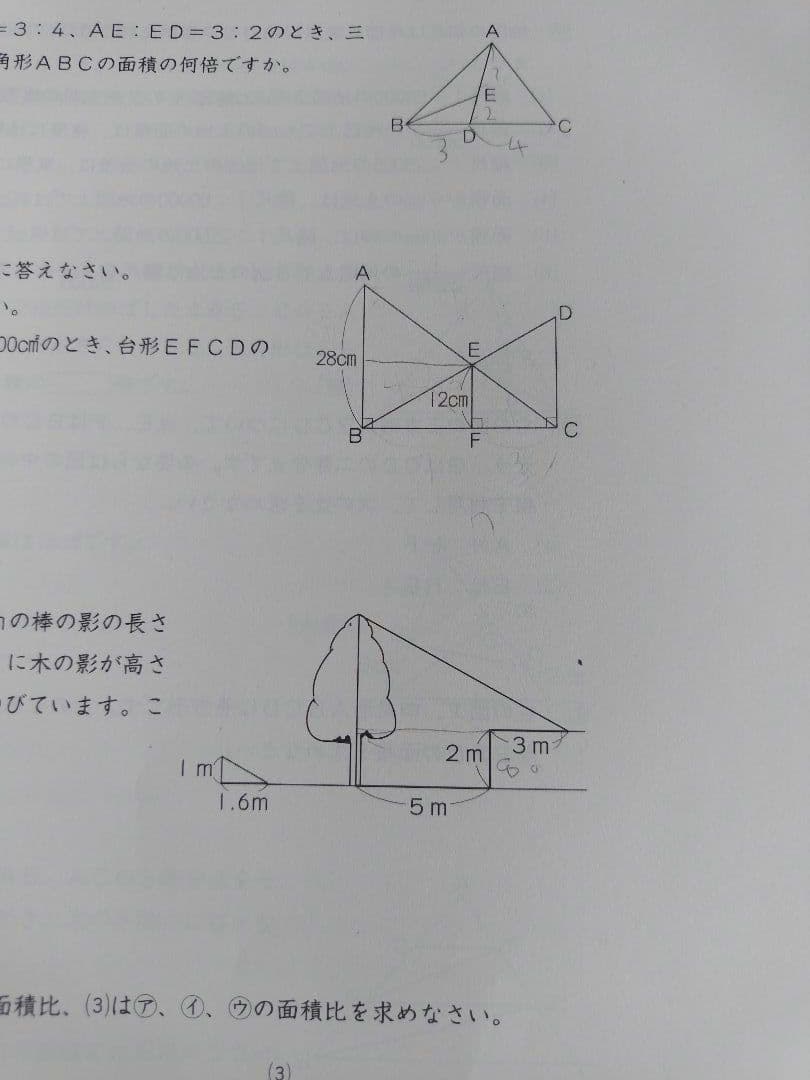 【中学入試/日能研】6年　後期　合格力完成教室＆栄冠への道　2025年度版