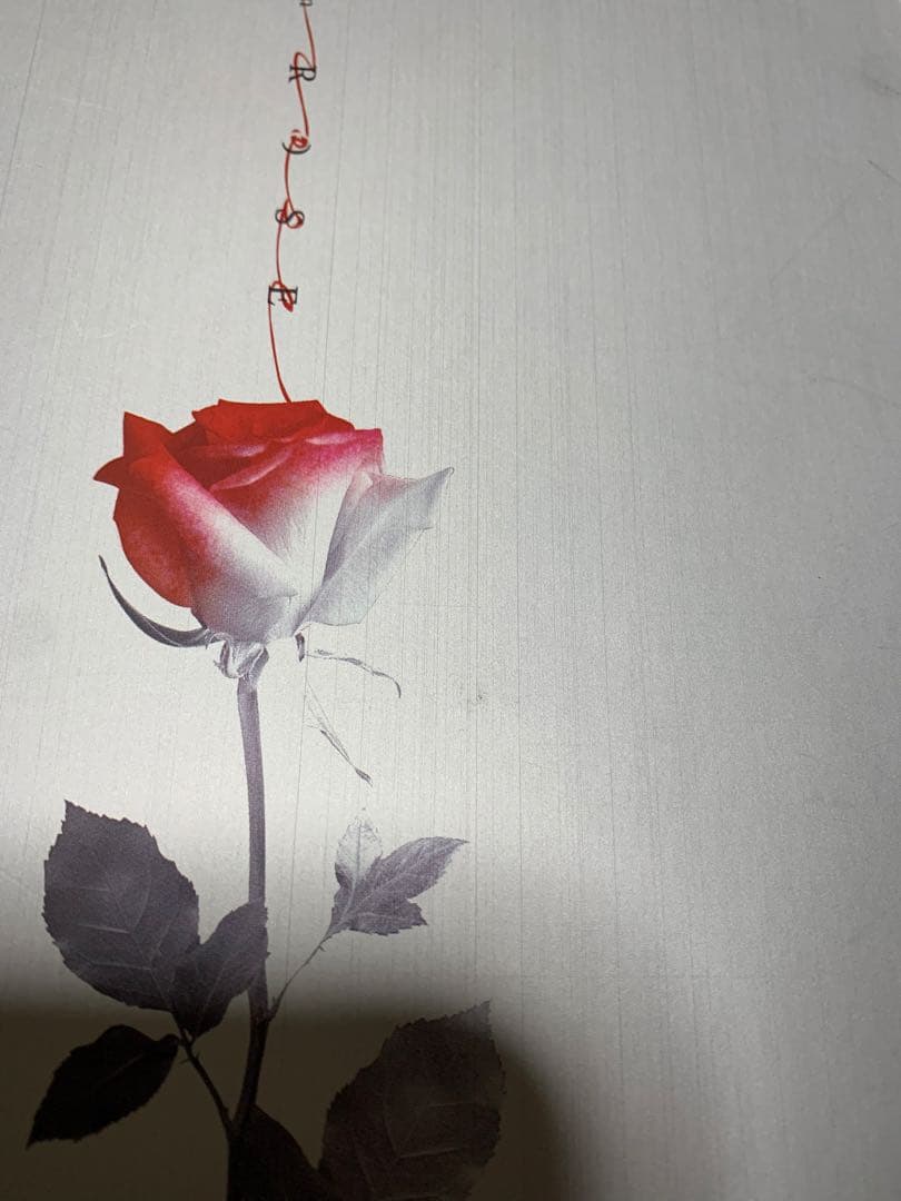 B.A.P Rose Aバージョン