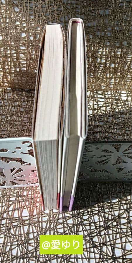 【未開封CD付】日本最強言霊⭐大祓詞♦小野善一郎♦大野百合子⭐あなたを幸せにする