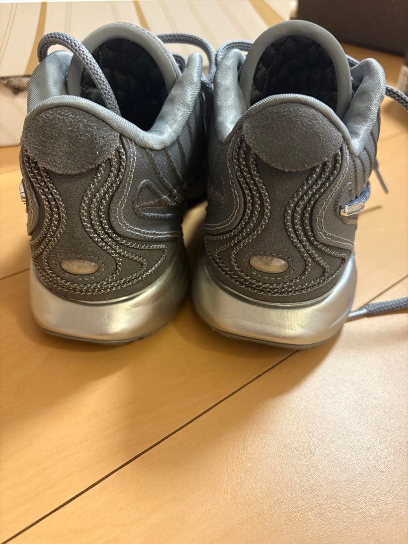 Nike Lebron 21 cool grey レブロン 21 クールグレー