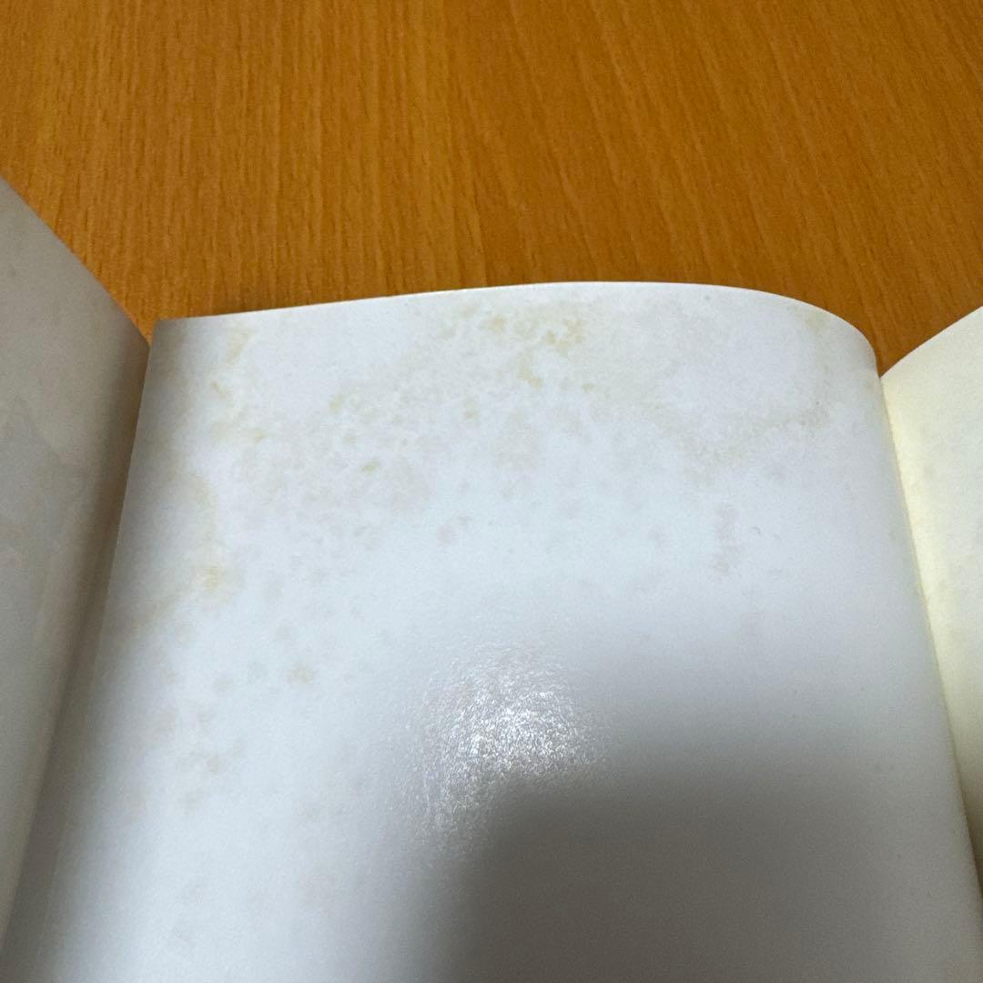 キジトラ猫の小梅さん　1-24巻　ねこじぞう　しーちゃんのそれから　計26冊