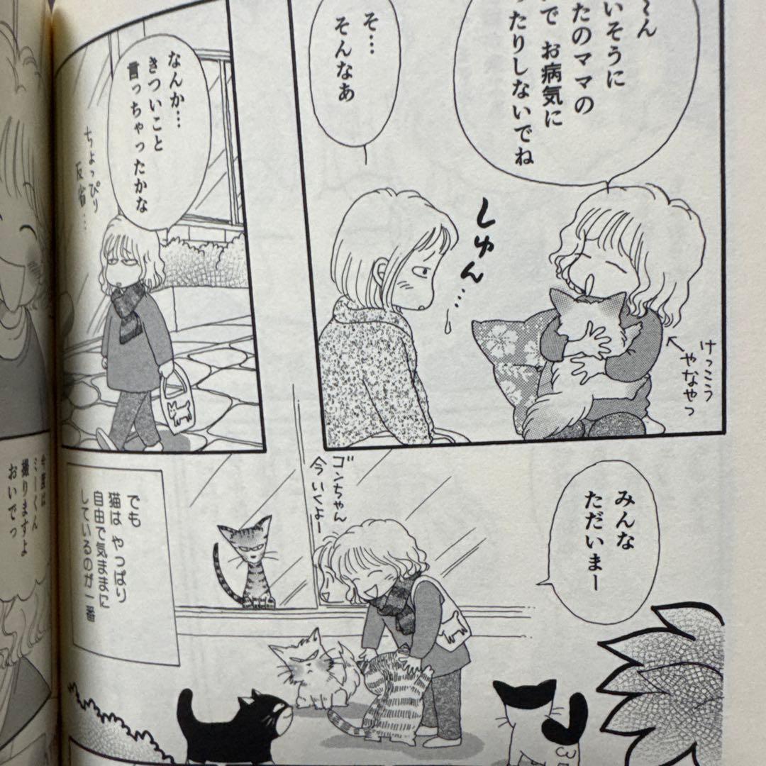 キジトラ猫の小梅さん　1-24巻　ねこじぞう　しーちゃんのそれから　計26冊