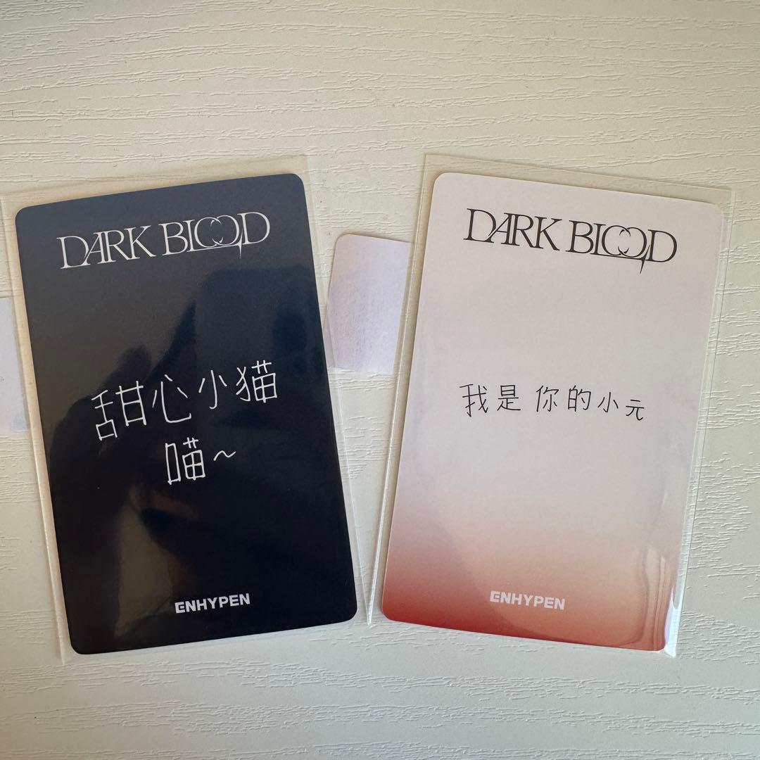 ENHYPEN DARKBLOOD 一直娯 ラキドロ ジョンウォン
