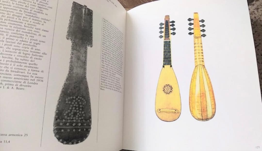 週末SALE レア ストラディヴァリウス 作品集 洋書 イタリア語 英語