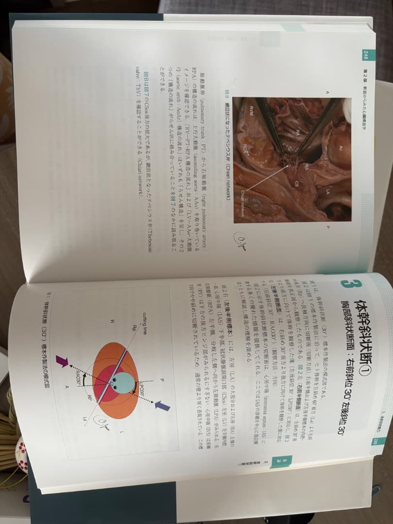 テキスト 臨床心臓構造学