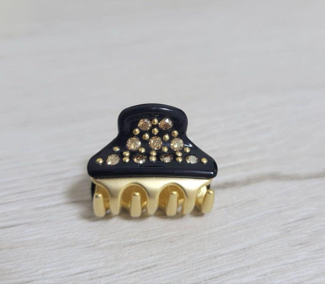 【新品未使用】ALEXANDRE DE PARIS マイクロクリップ ブラック