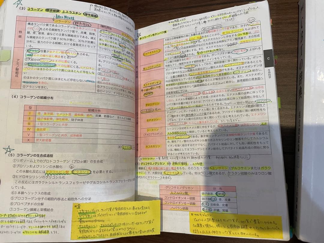 cbt辞典