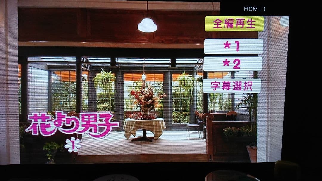 【海外版、日本語あり】　花より男子 DVD 5枚セット（全9話）井上真央 小栗旬
