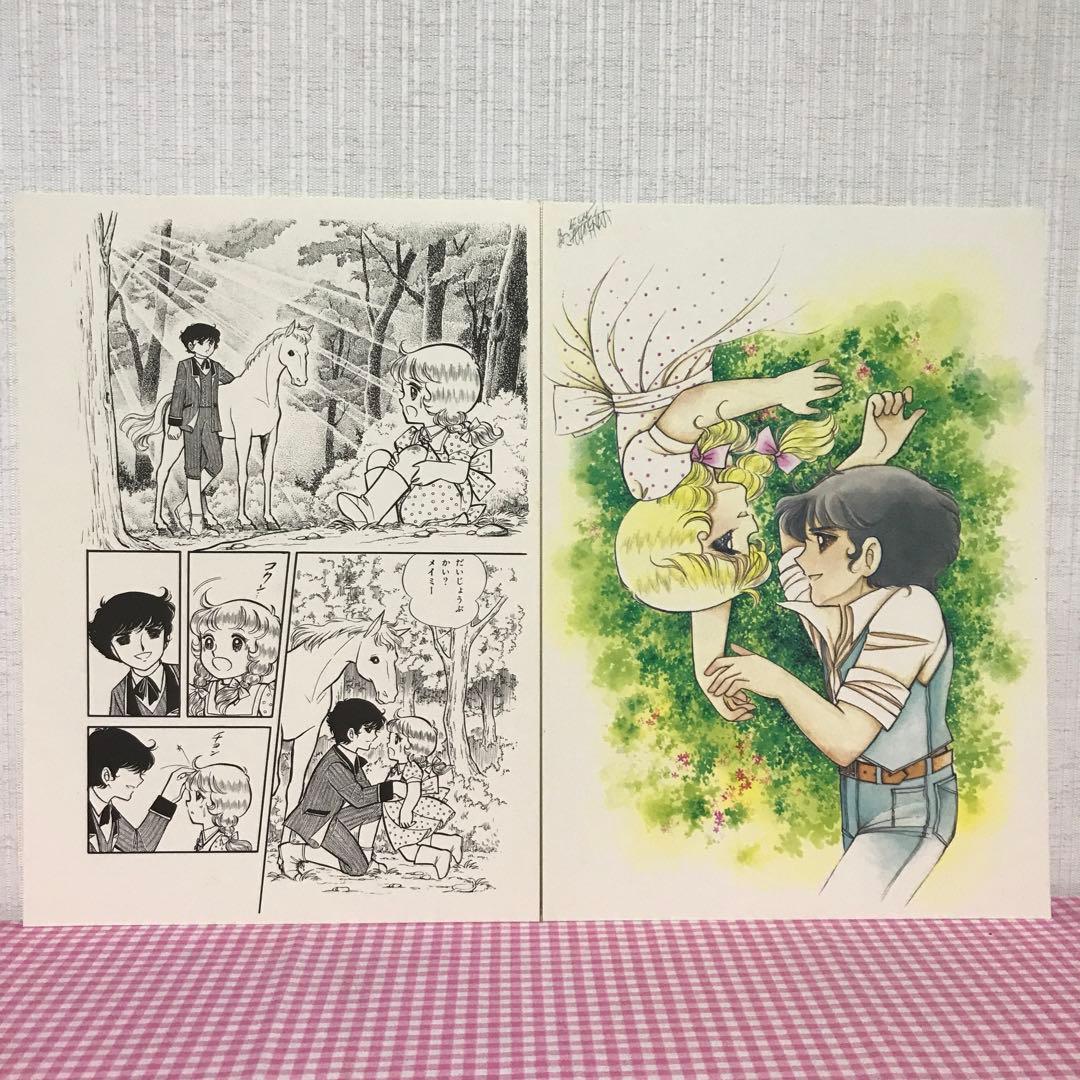 キャンディ♡キャンディ　イラスト集　2冊　なかよし付録　イラスト　原画　下敷き