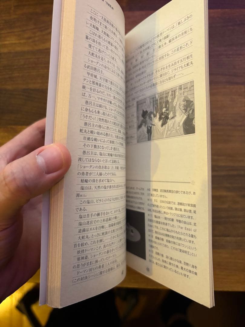 非売品　FAR EAST OF EDEN 研究序説　天外魔境