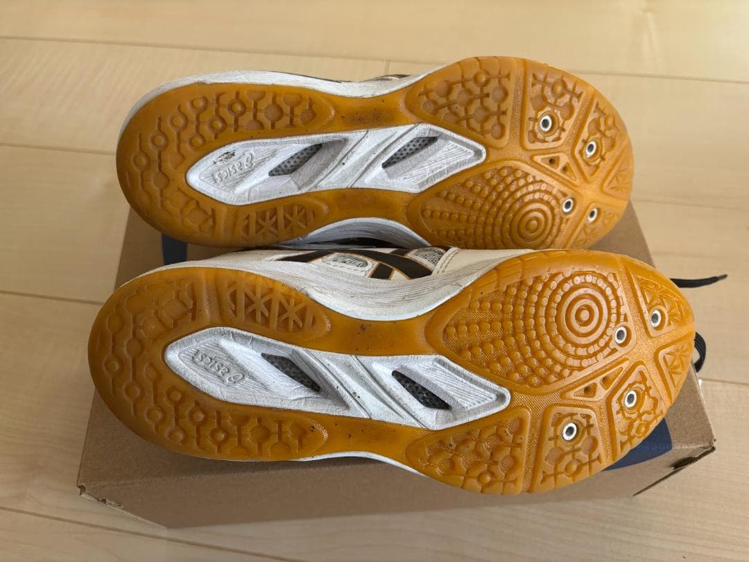 23.5cm アシックス（asics) バレーボールシューズ ローテジャパン
