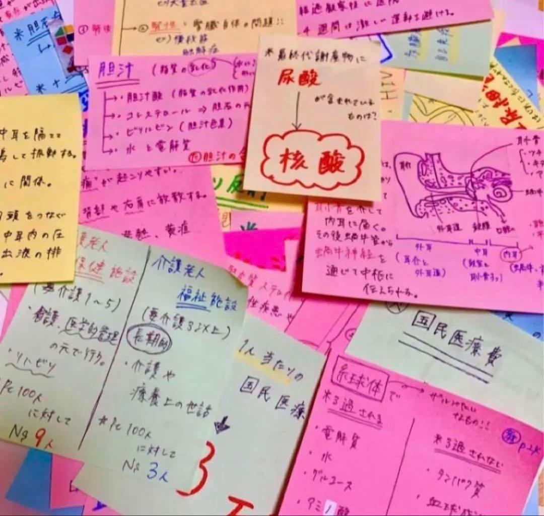 希望額セール！　大好評！付箋700枚　看護学生　看護師国家試験　付箋ノート解剖学
