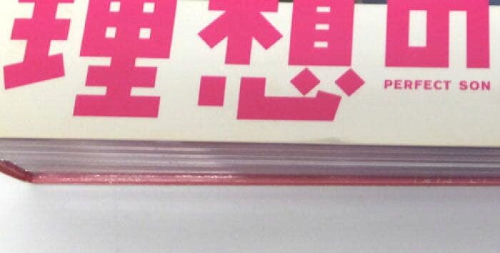 理想の息子 DVD-BOX〈6枚組〉