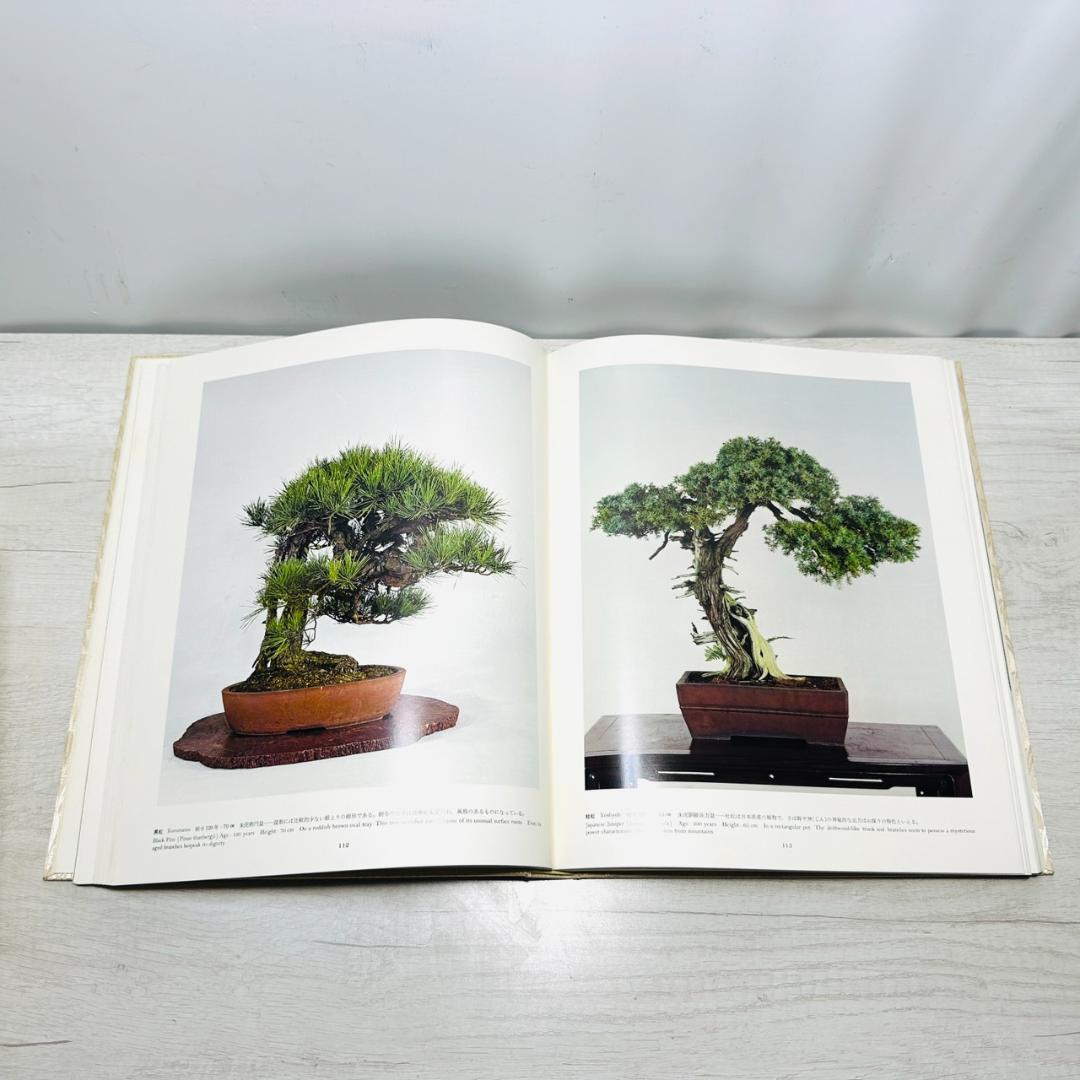 ☆皇居の盆栽 日本盆栽協会 美品 未読品