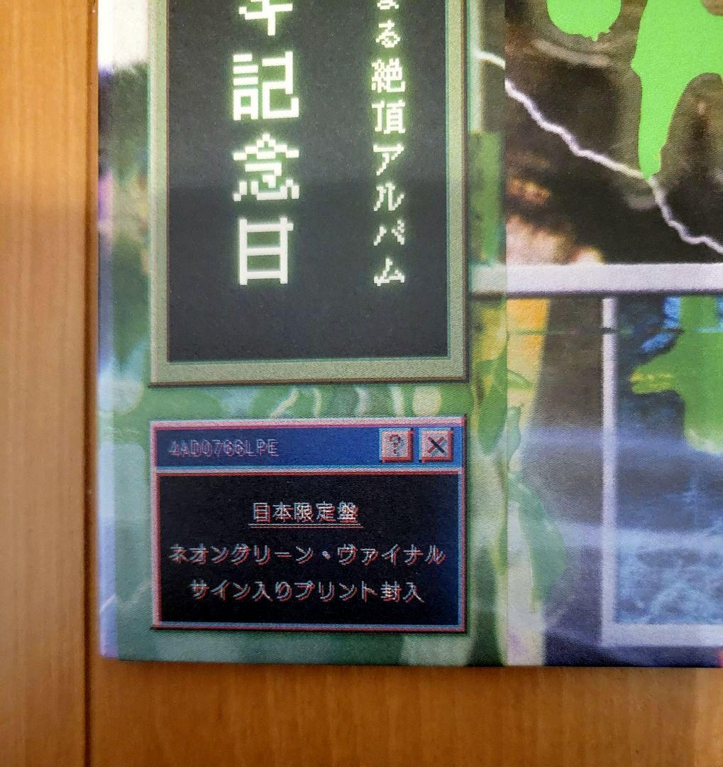 CUMGIRL8　ビッグラブレコード　日本限定盤