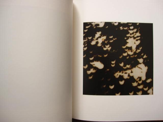 サイ・トゥオンブリーの写真 変奏のリリシズム　Cy Twombly