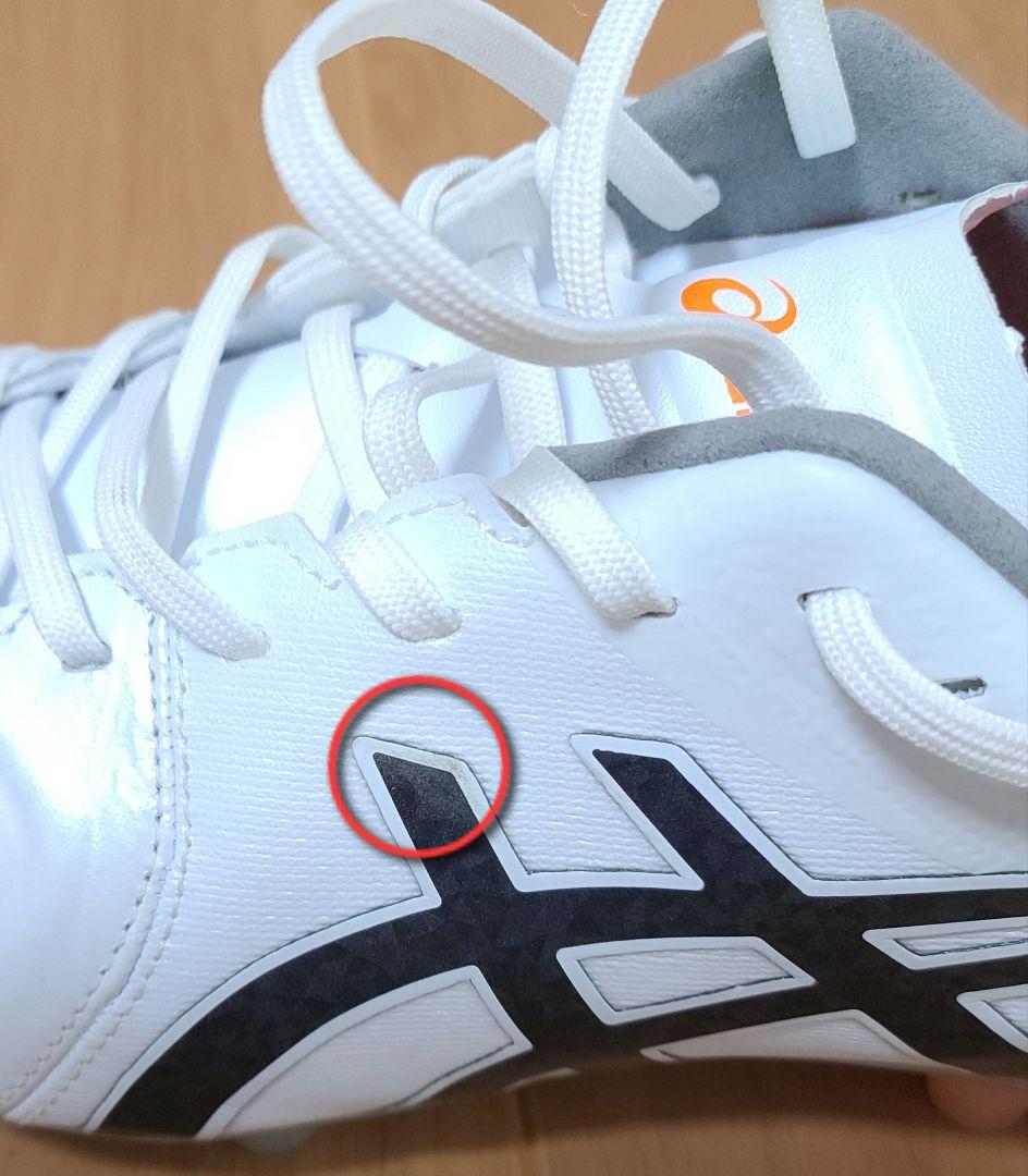 asics DS LIGHT ワイドモデル 1103A023-100 25.5㎝