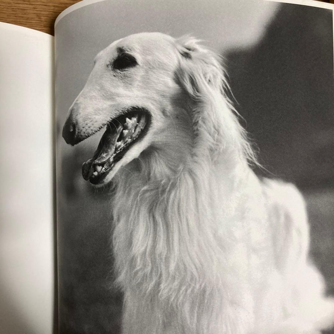 Bruce Weber TREVILLE　ブルース・ウェーバー 写真集